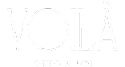 Voila logo